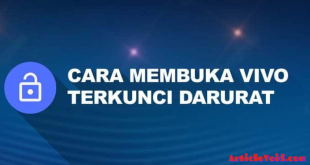 Cara Membuka HP Vivo yang Terkunci Dengan Nomor Darurat