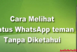 Cara Melihat Status WA Tanpa Diketahui
