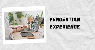 Pengertian Experience