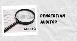 Pengertian auditor